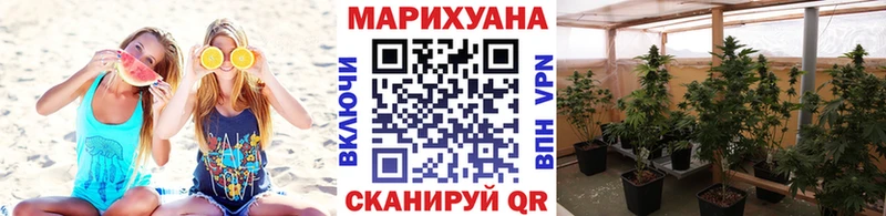 Как найти закладки Кувшиново Бошки Шишки  МЕФ  Псилоцибиновые грибы  АМФ  ГАШ  Alpha PVP 