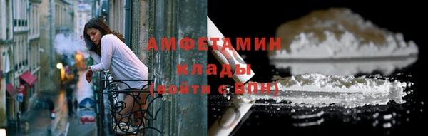 шишки Беломорск