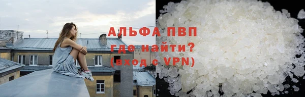 шишки Беломорск