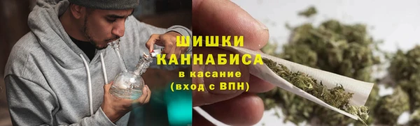 шишки Беломорск