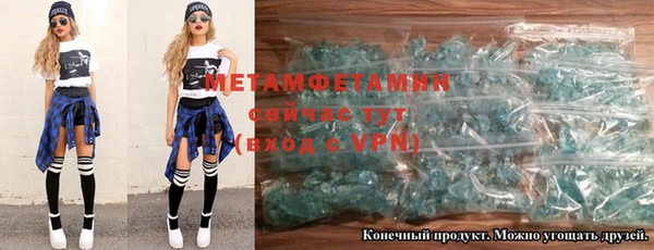 шишки Беломорск