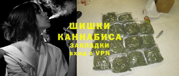 шишки Беломорск