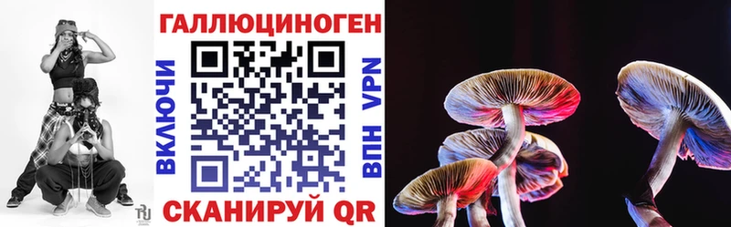 Галлюциногенные грибы Cubensis  магазин продажи наркотиков  Кувшиново 